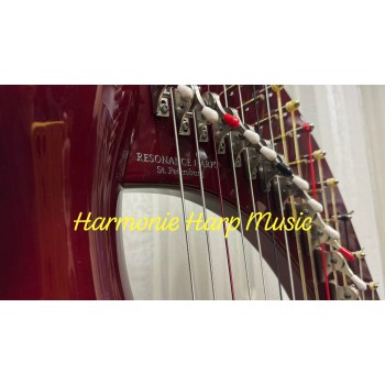 SOLD 2nd Hand Resonance 40 strings Lever Harp SOLD 2nd Hand Resonance 40 strings Lever Harp
